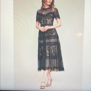 Tadashi Shoji Camilla Lace Illusion Dress